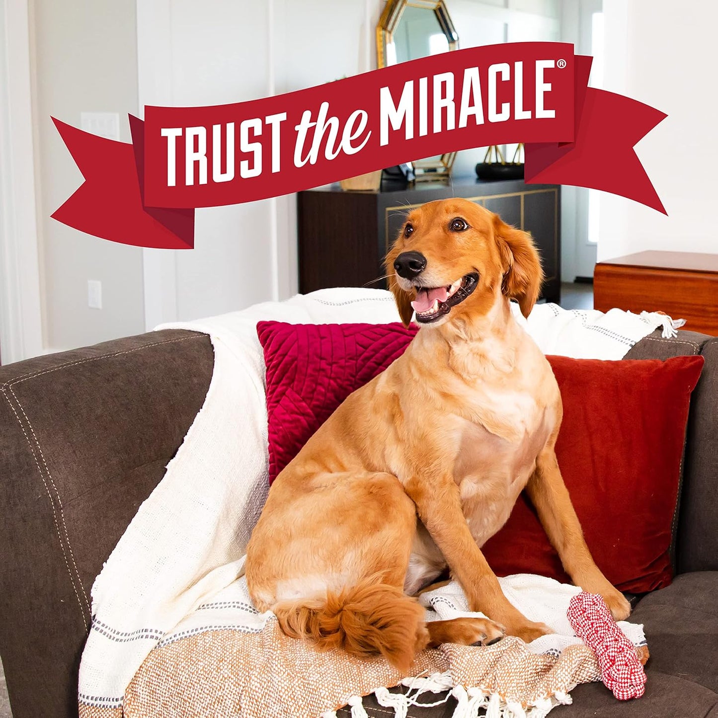 Nature's Miracle Advanced Platinum No More Marking Spray For Dogs 709ml