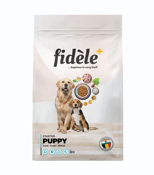 Fidele Starter Puppy All Breed Dry Food For Dogs