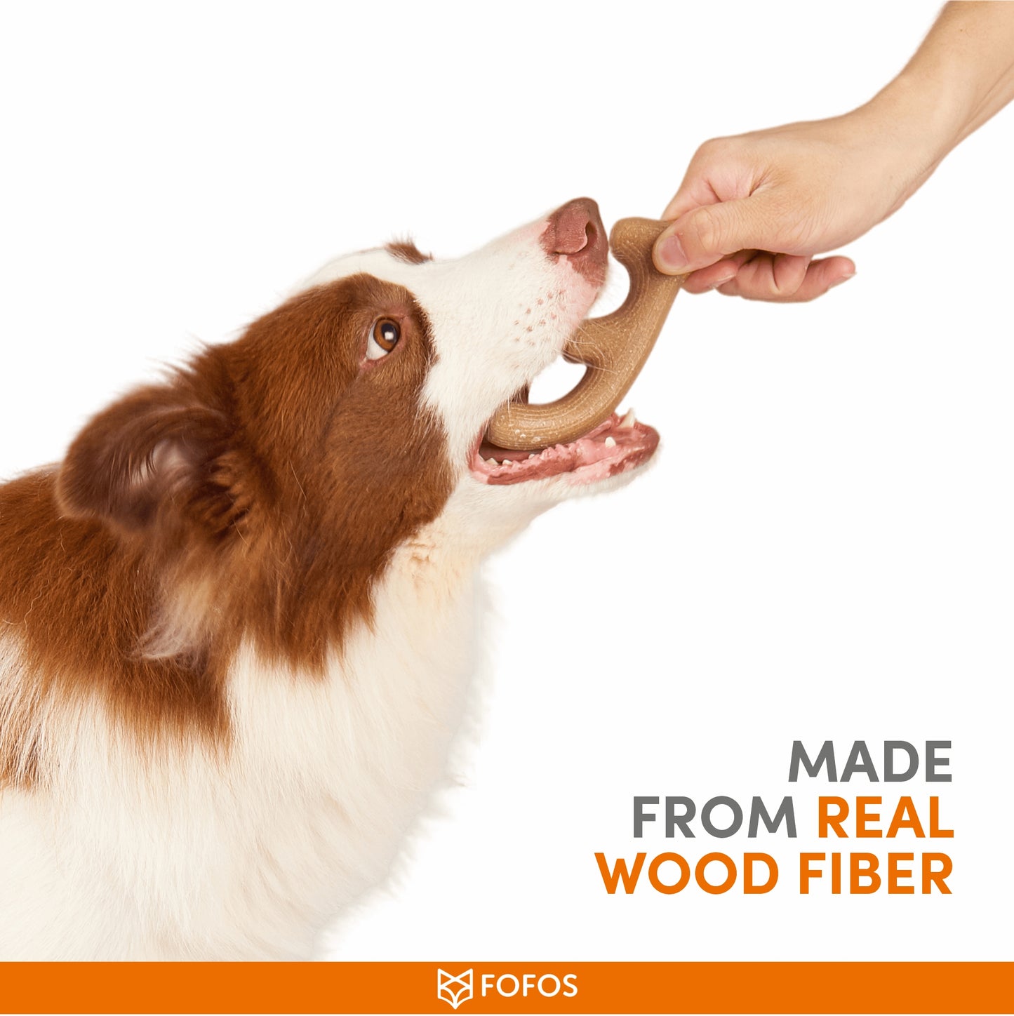 FOFOS Wood play Antler Dog Toy 5x2xl3 cm