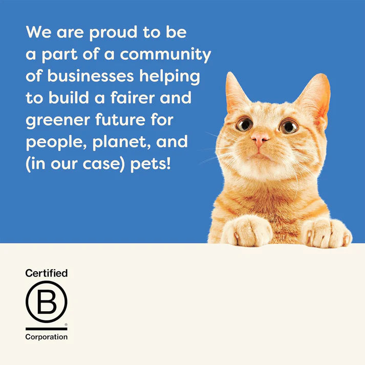 Applaws Pouch Tuna Fillet with Whole Anchovy & Seaweed Cat Wet Food 70gm