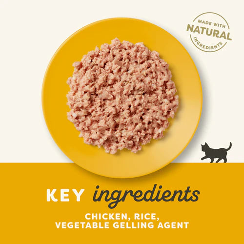Applaws Kitten Chicken in Jelly Wet Cat Food 70g