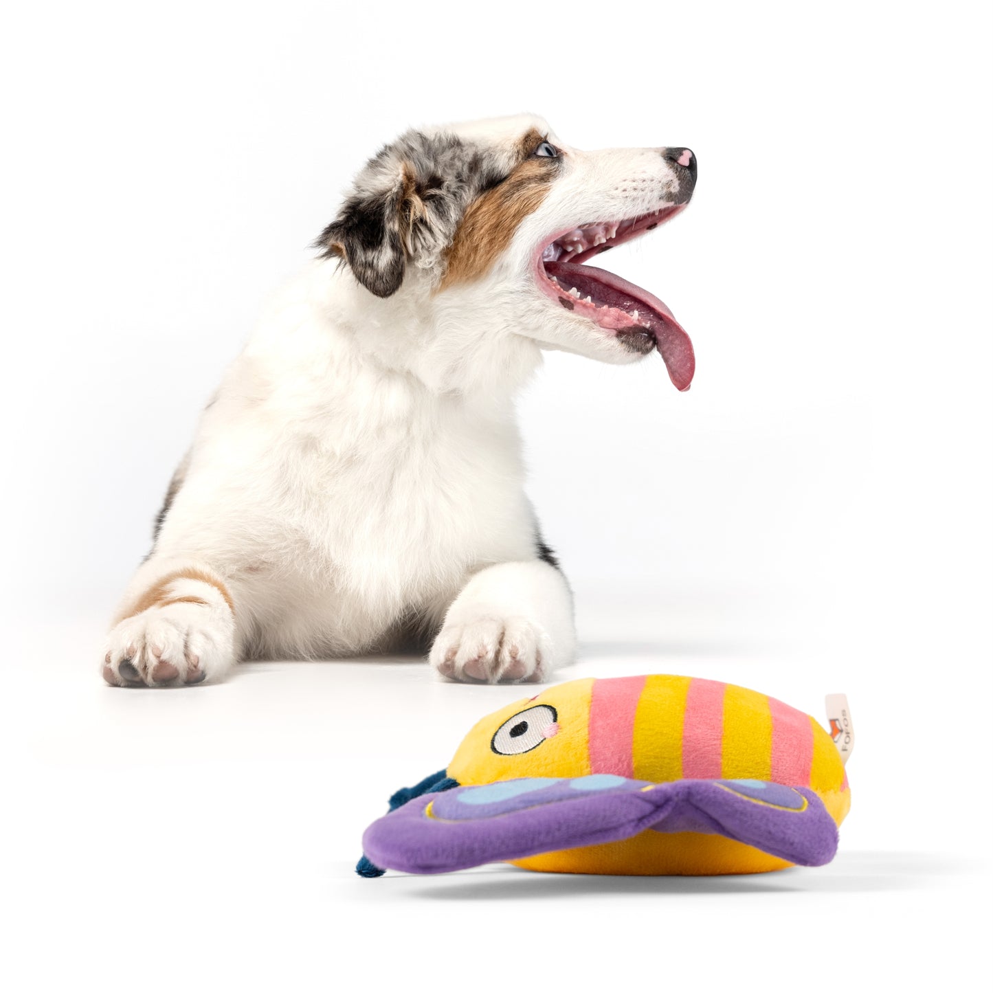 FOFOS Garden Butterfly Dog Toy 26 x 6 x 15 cm
