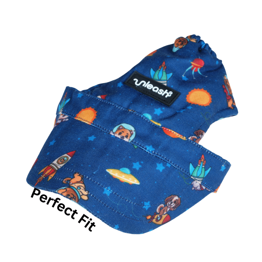 Unleash Pet Cap Space Small 8 x 12.5 x 7"