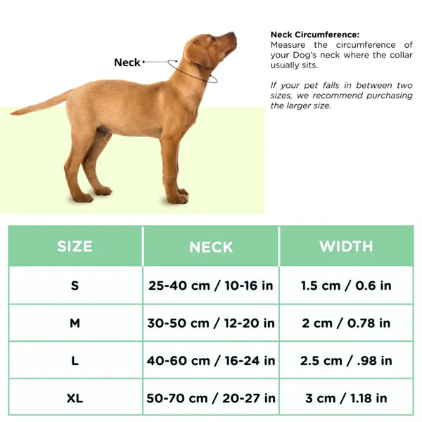 Basil Padded Adjustable Collar for Dogs & Puppies Red