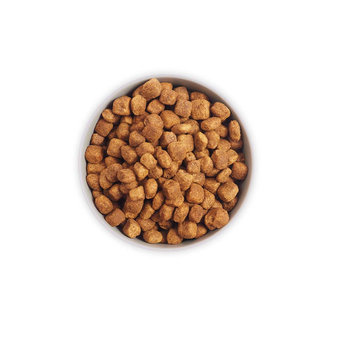 Heka Grain Free Salmon, Potatoes & Peas Dry Food For Dogs