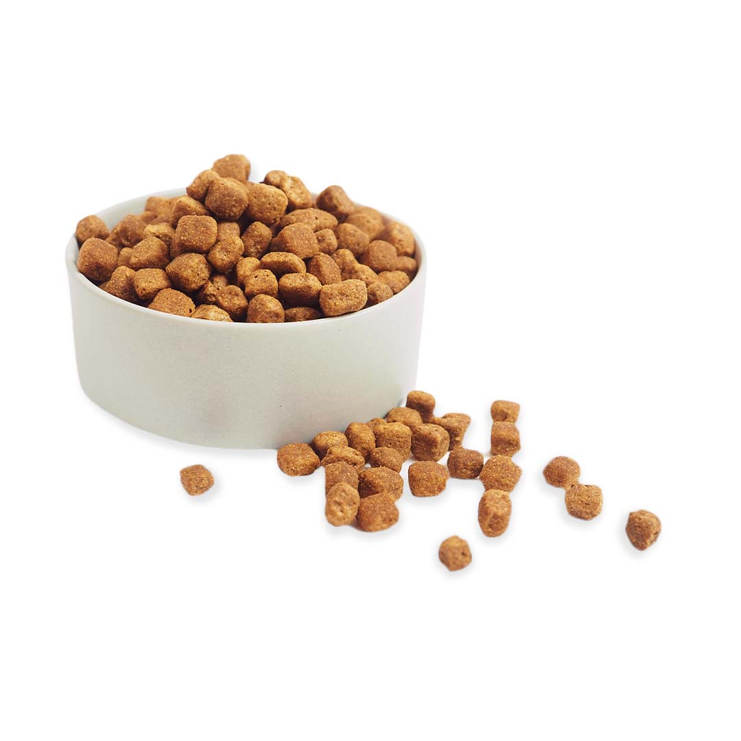 Heka Grain Free Salmon, Potatoes & Peas Dry Food For Dogs