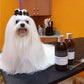 iGroom Charcoal + Keratin Shampoo For Dog 473ml