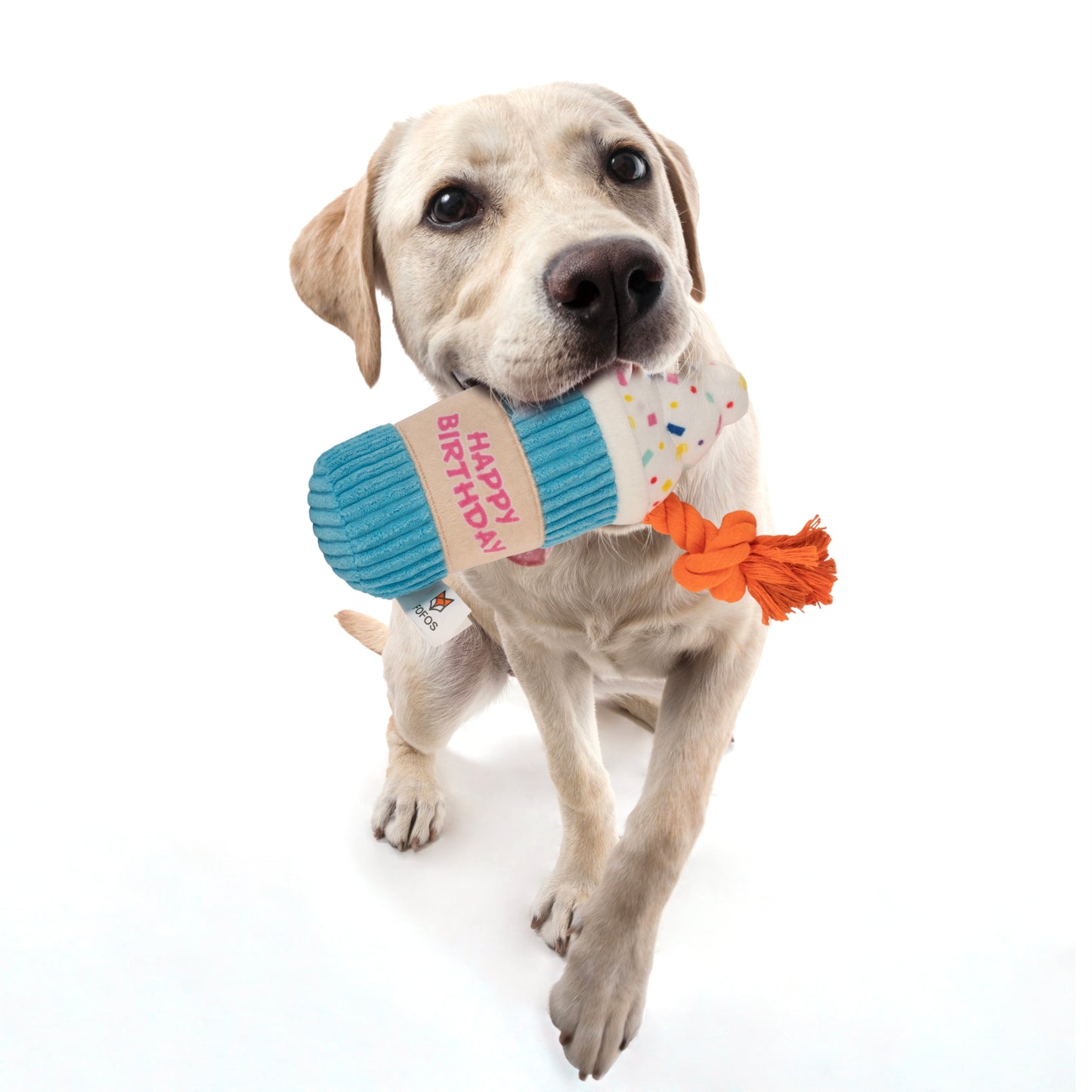 FOFOS Birthday Drink Dog Toy 9x8x20cm