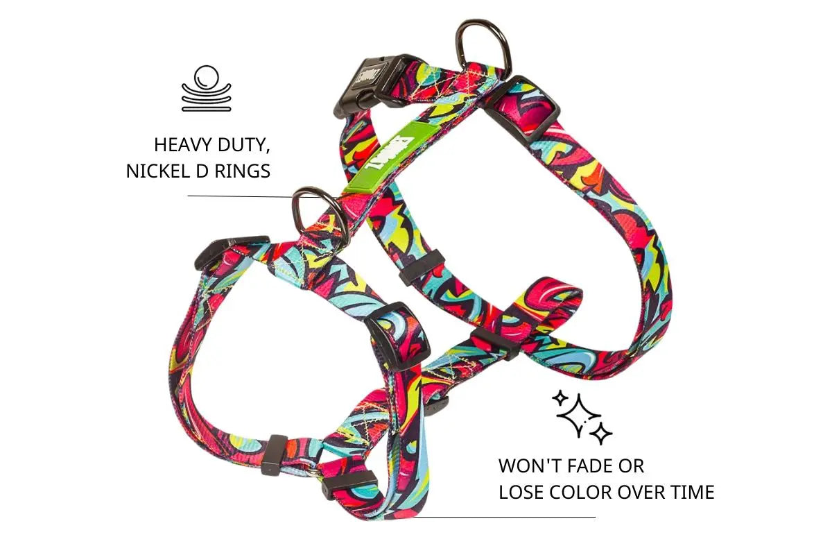 Zoomiez Drip H - Harness For Dog