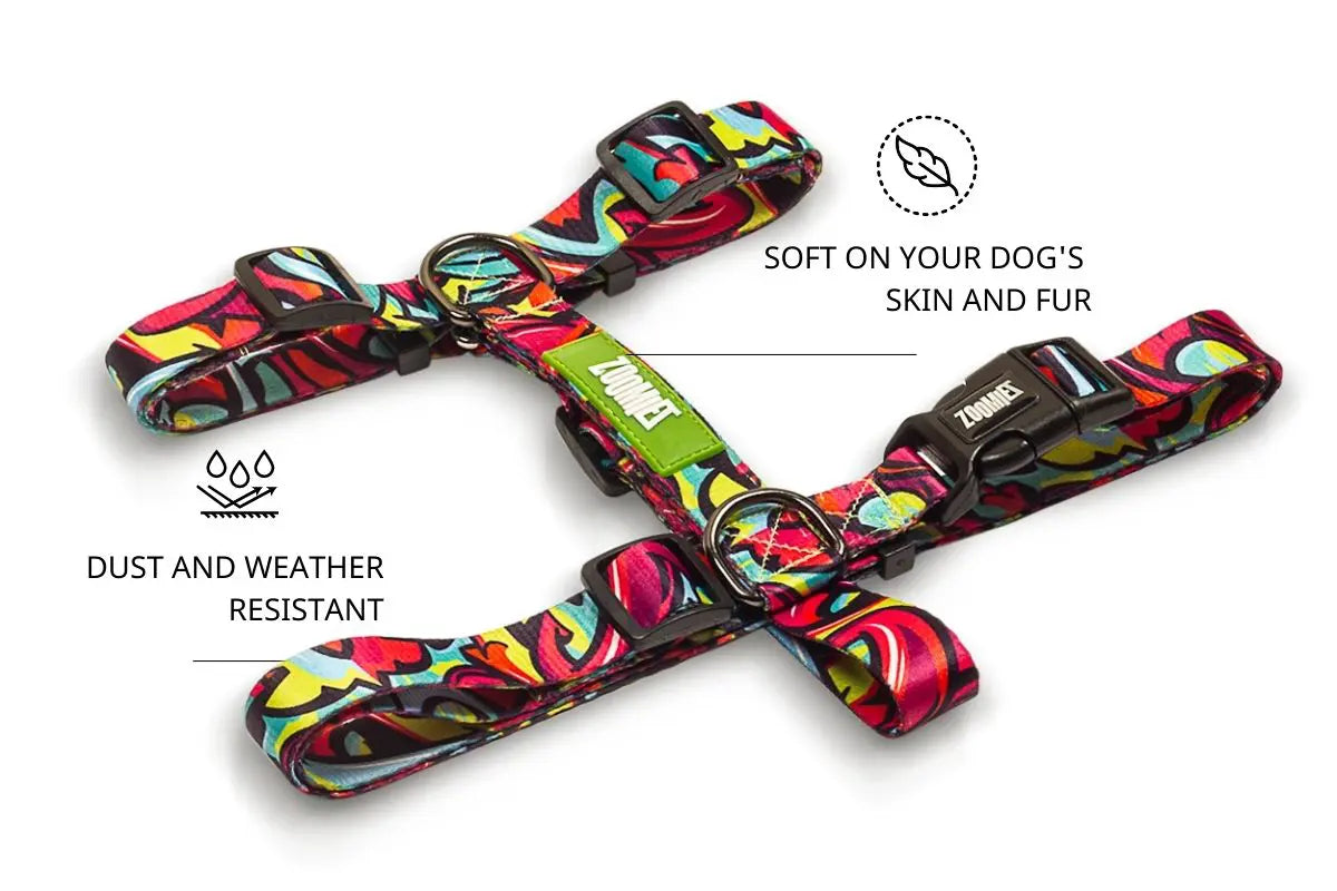 Zoomiez Drip H - Harness For Dog
