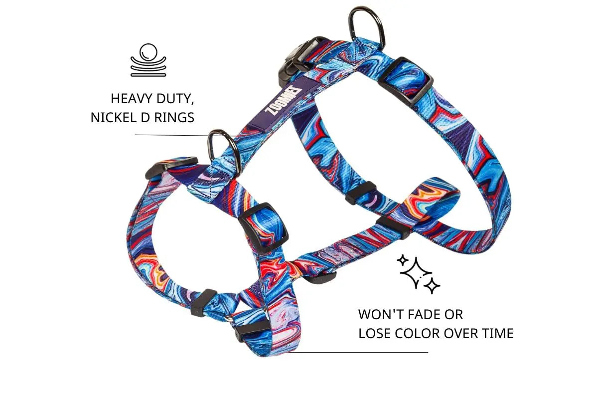 Zoomiez Fluid H - Harness For Dog