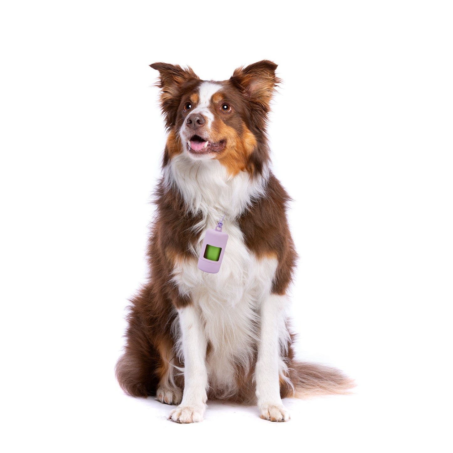 FOFOS Poop Bag Sets Purple 6x6x11cm