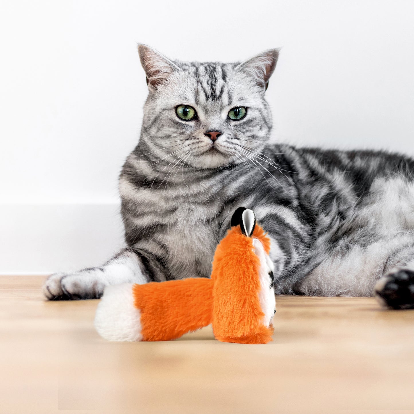 FOFOS Floppy Crinkle Cat Toy Fox 7x2x13cm