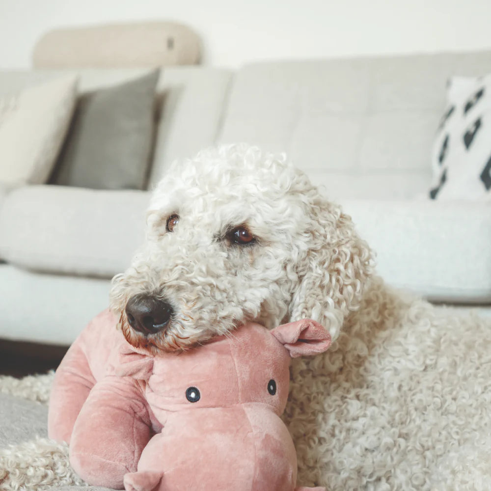 Trixie Hippo Plush Toy For Dogs 25cm