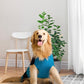 Pet Snugs Half Cable Half Jacquard Sweater For Your Furry Friend