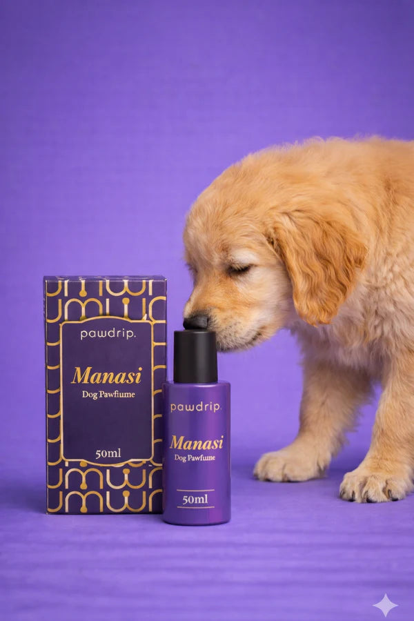 Pawdrip Manasi Pawfume Luxurious Pet Fragrance For Dogs 50ml