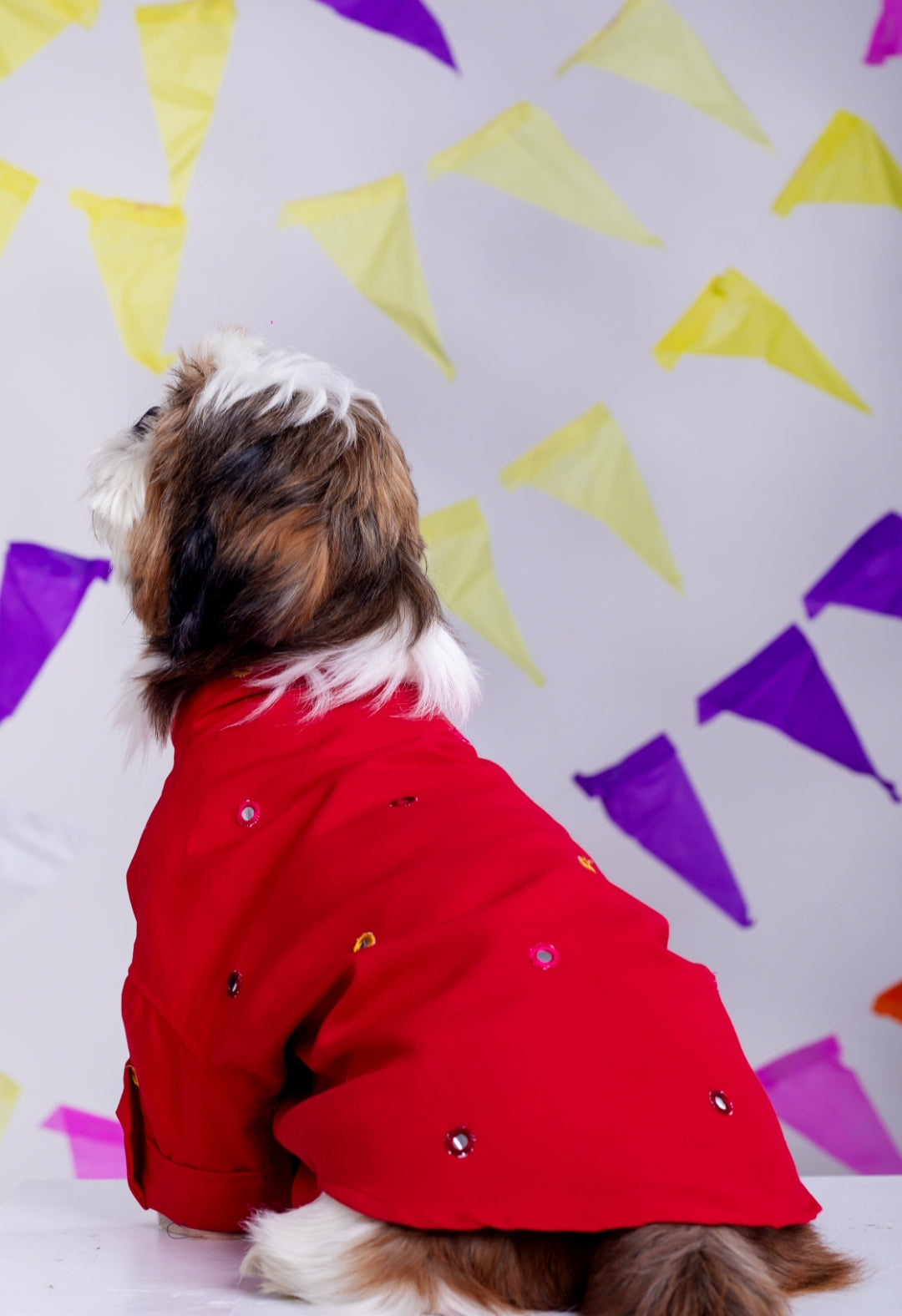 15 Furries Electric Red Mirrorwork Dog Kurta