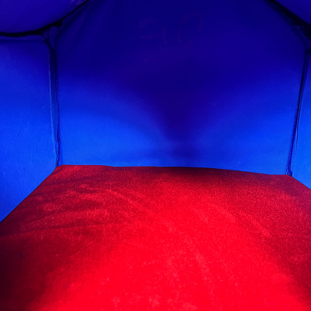 Tails Nation Puppy House For Your Furry Friend Blue & Red 63x52x57cm Assorted