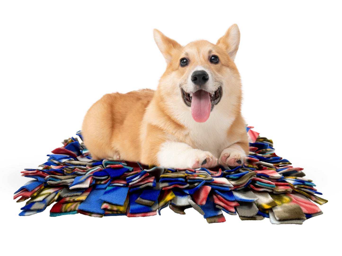 Tails Nation Shaggie Playmat For Your Furry Friend - Multi Color