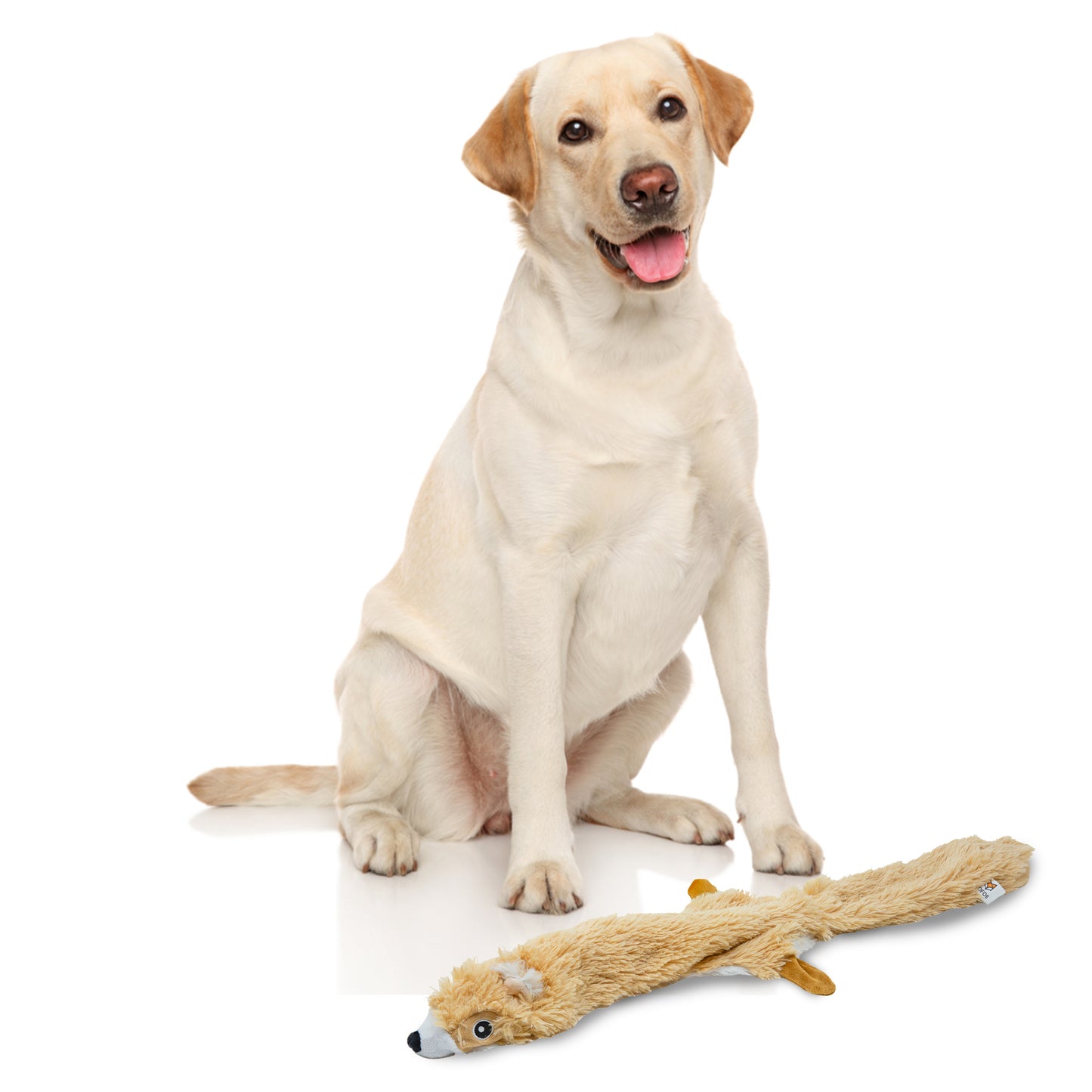 FOFOS Dog Toy Skinneez Squirrel 58 x 22 x 3.5 cm