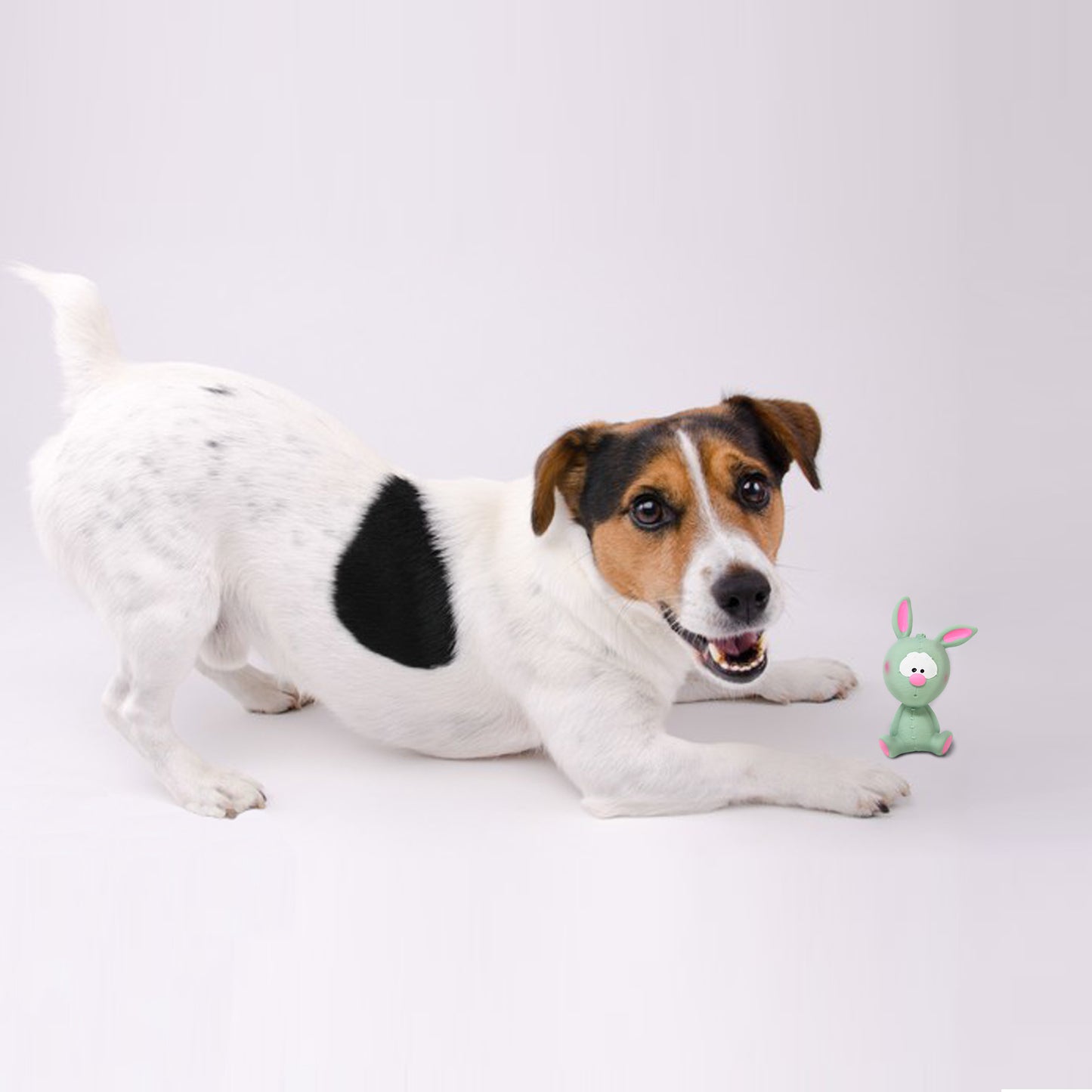 OFOS Latex Bi Rabbit Toy For Dogs Small