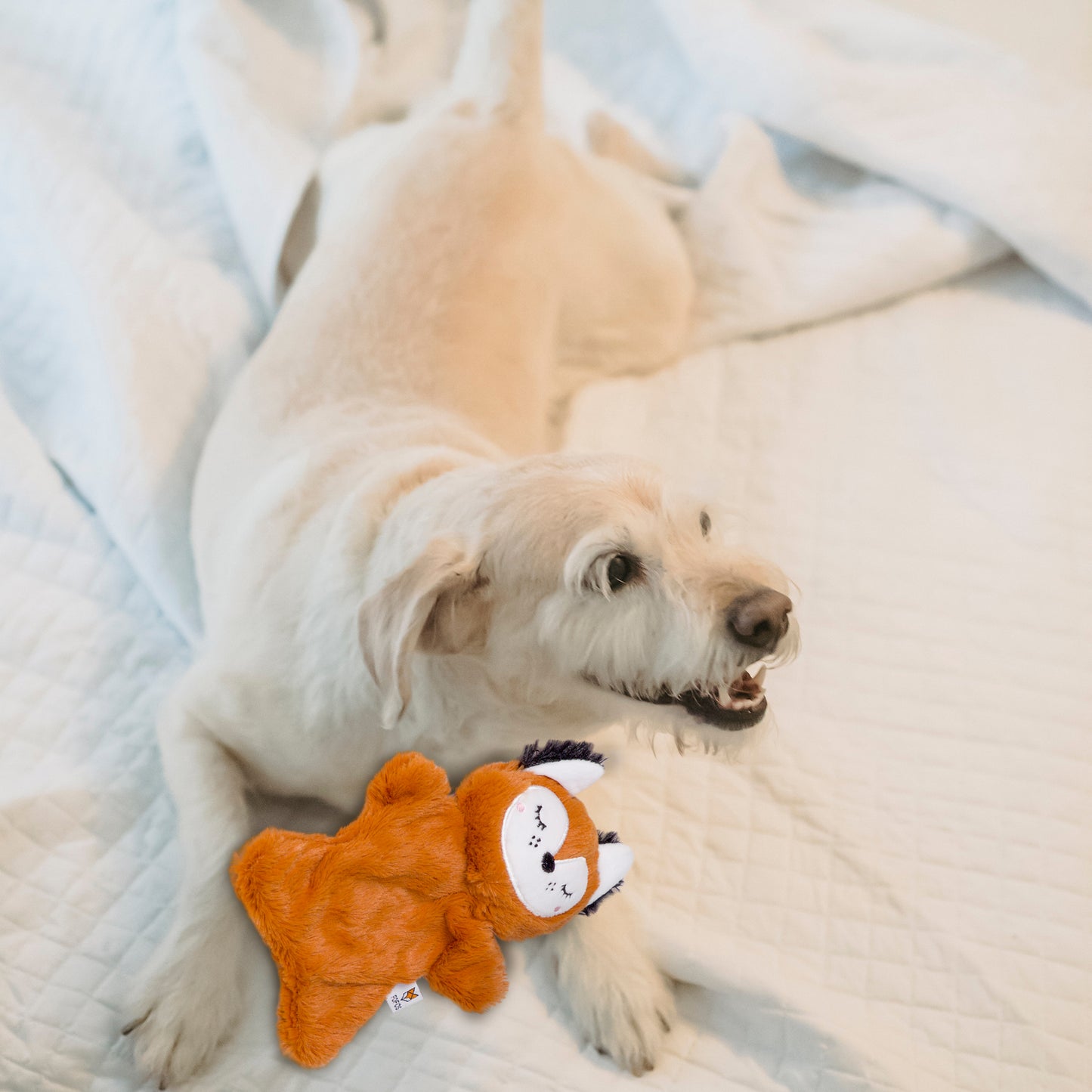FOFOS Glove Plush Fox Dog Toy 20 x 16 x 5cm