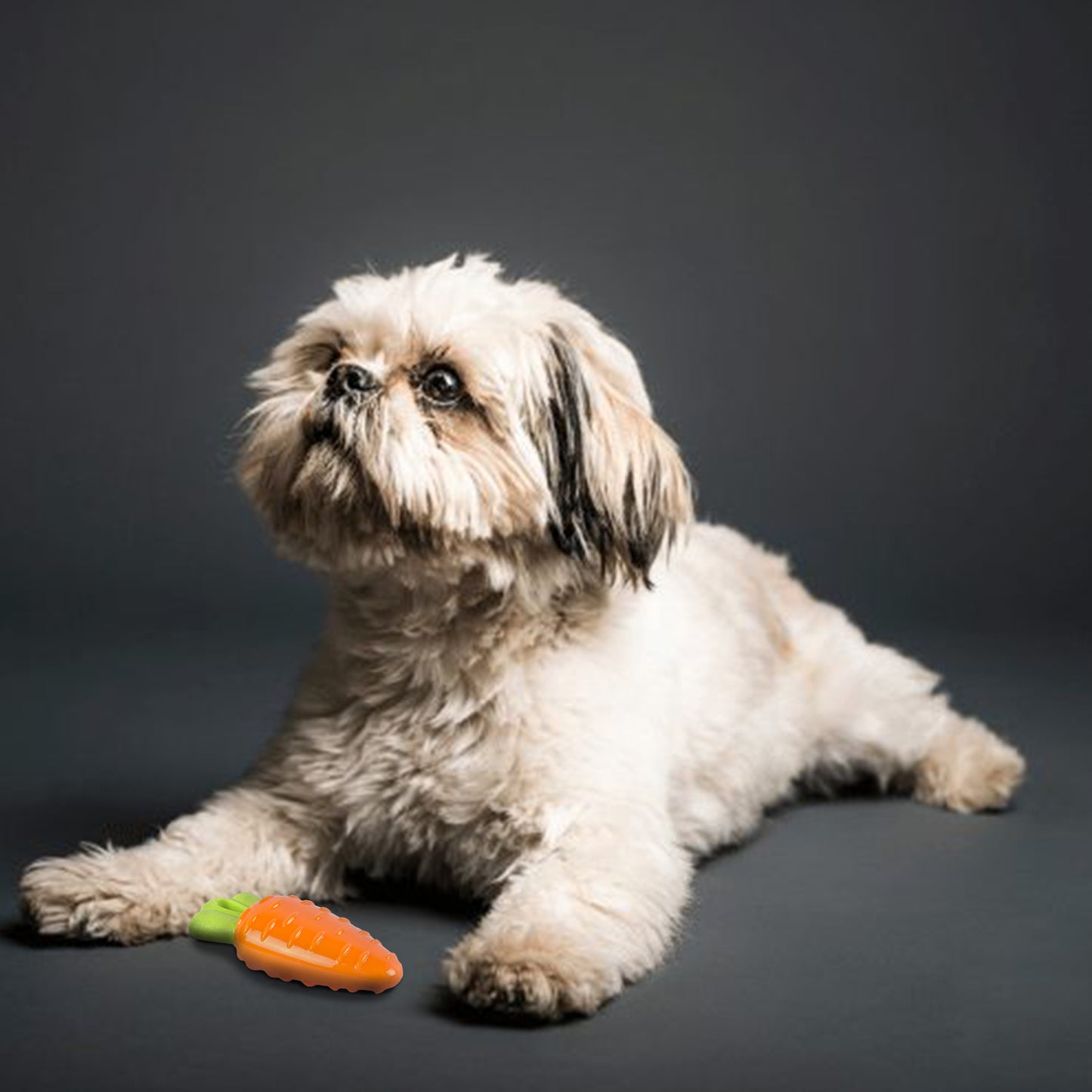 FOFOS Vegi-Bites Carrot Dog Toy 15 x 4 x 4 cm Small