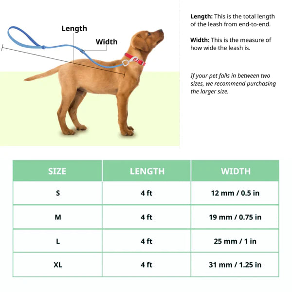 Basil Padded Leash for Dogs & Puppies Black/Orange