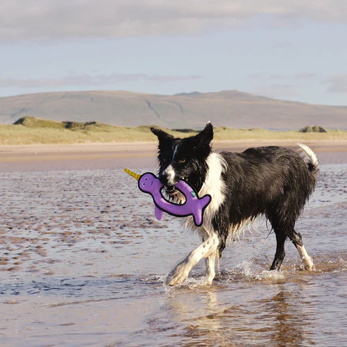 Beco Recycled Rough & Tough Narwhal Dog Toy
