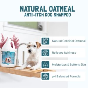 Bio-Groom Natural Oatmeal Vegan & Cruelty-free Soothing Shampoo For Dog 355ml