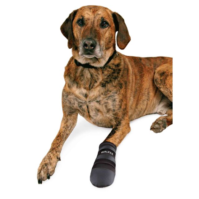 Trixie Walk Care Protective Boots 2pcs Black