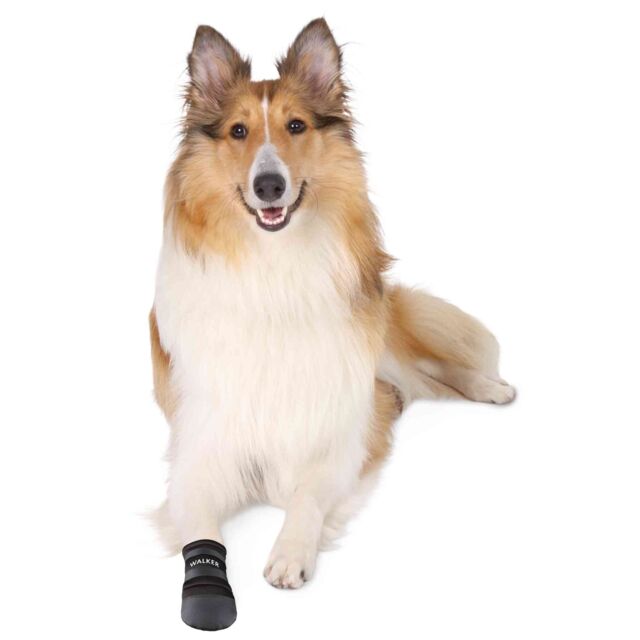 Trixie Walk Care Protective Boots 2pcs Black