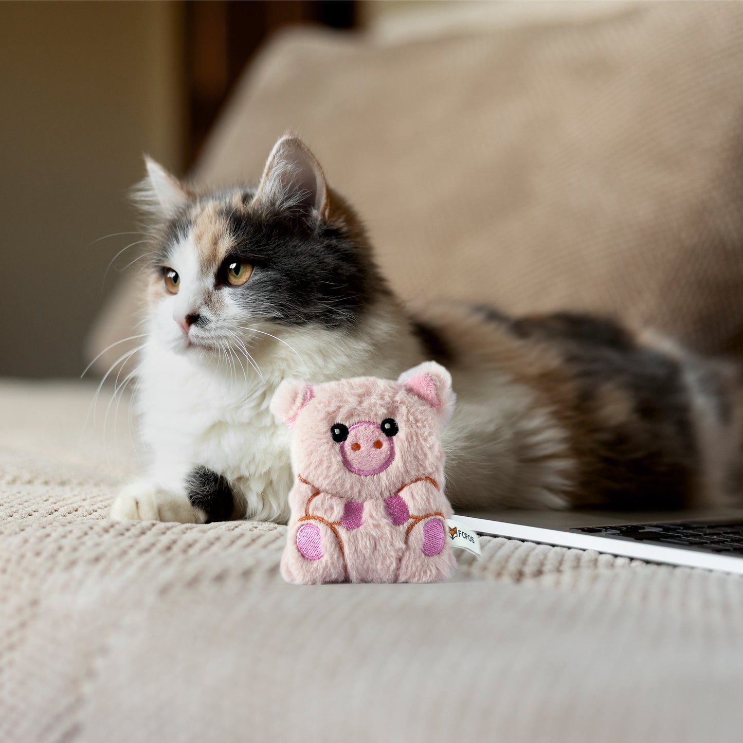 FOFOS Floppy Crinkle Cat Toy Pig 8x2x11cm