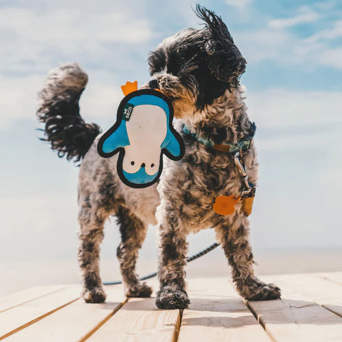 Beco Recycled Rough & Tough Penguin Dog Toy