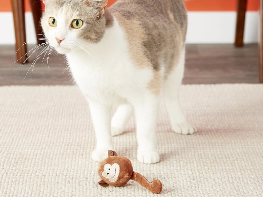 Petmate JW Monkey Singe Catnip Toy For Cat