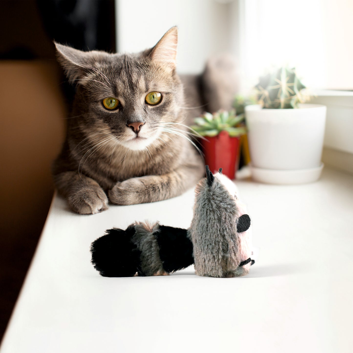 FOFOS Floppy Crinkle Cat Toy Racoon 7x2x13cm