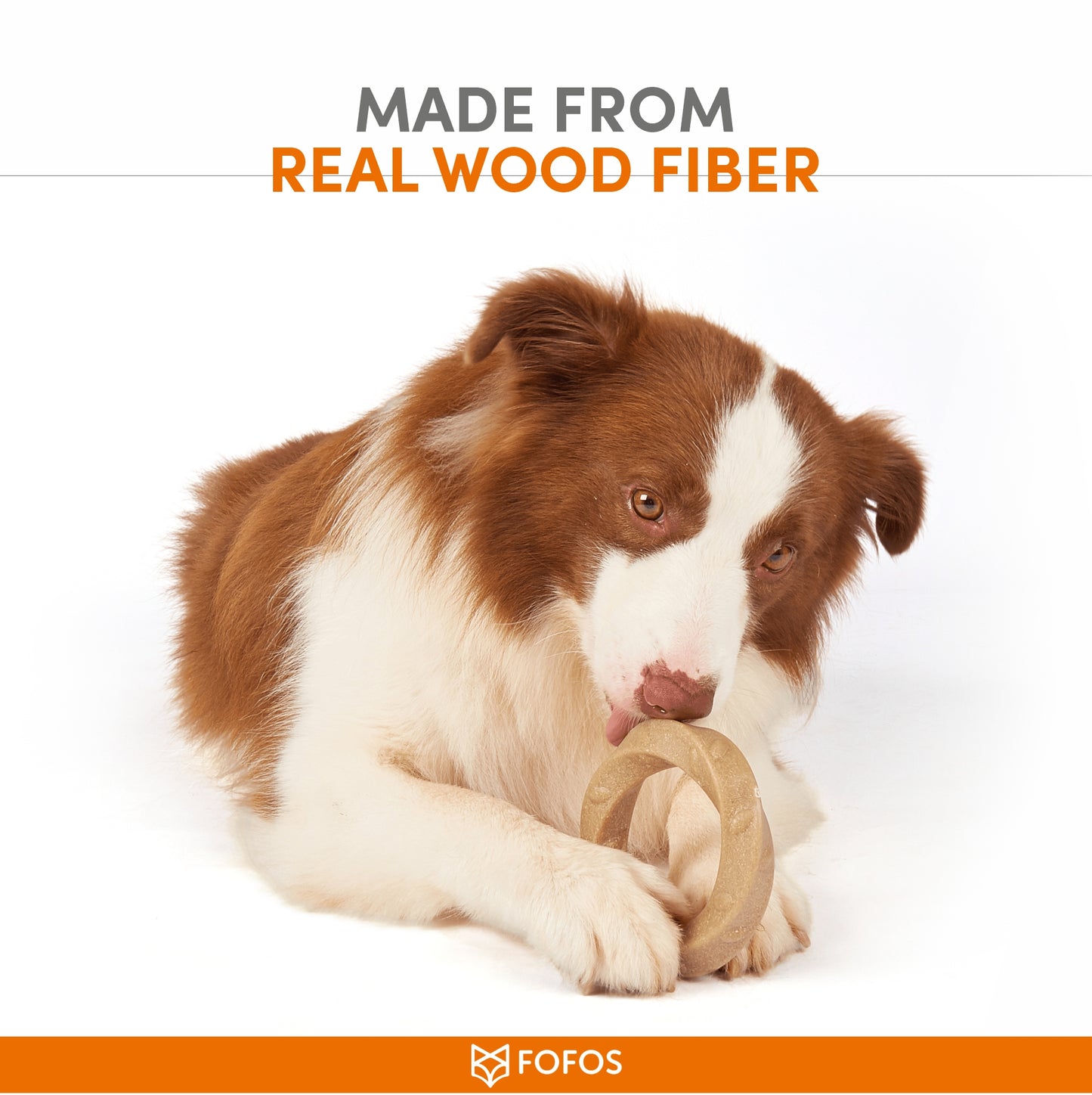 FOFOS Woodplay Ring Dog Toy 11x1.8x11cm