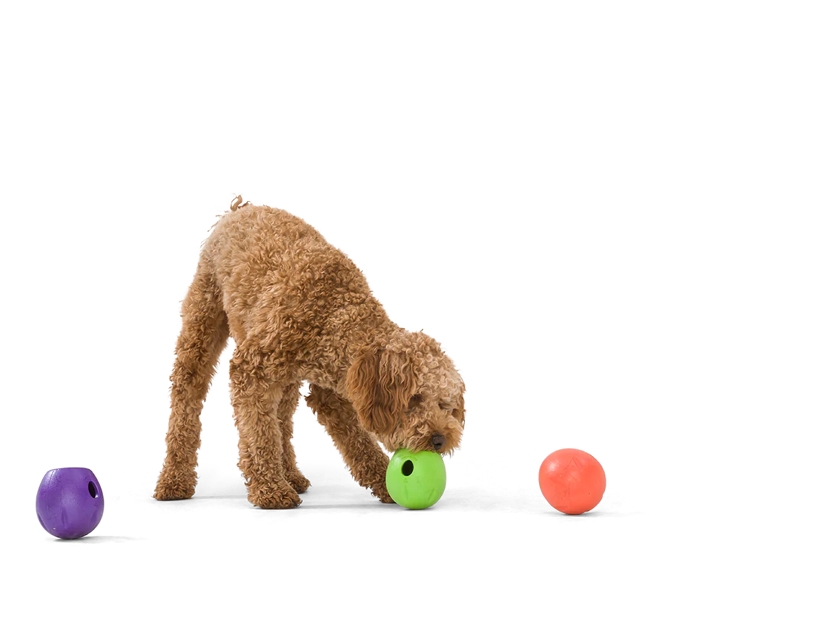 West Paw Rumbl Treat Dispenser Toy - Melon