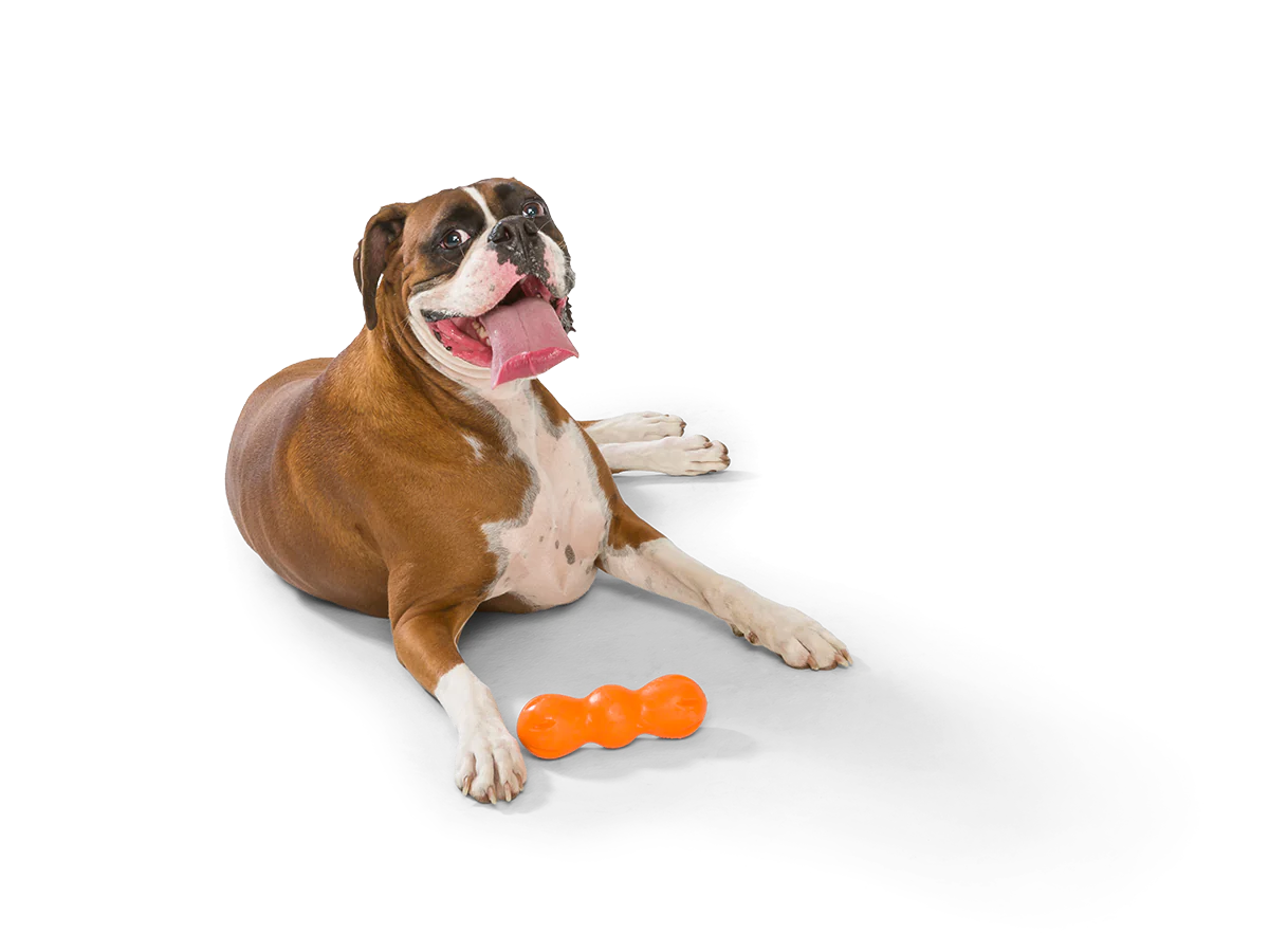 West Paw Zogoflex Rumpus Dog Toy -  Tangerine