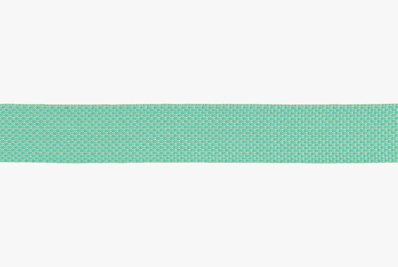 Ruffwear Flagline Dog Leash Saga Green 8inch (20mm)