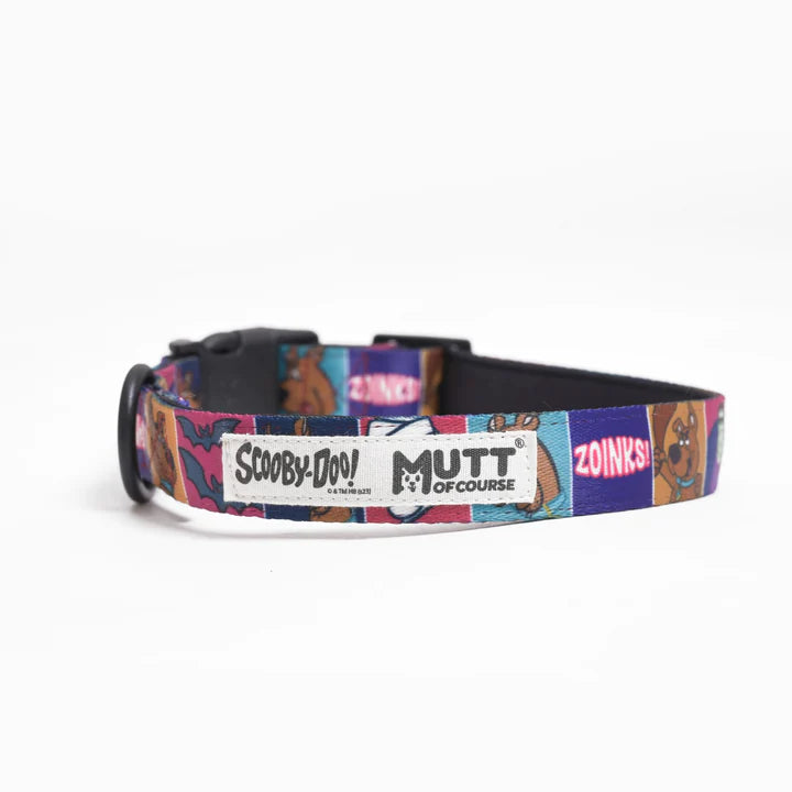 Mutt of Course Scooby & Scrapy Adventure Collar For Dogs