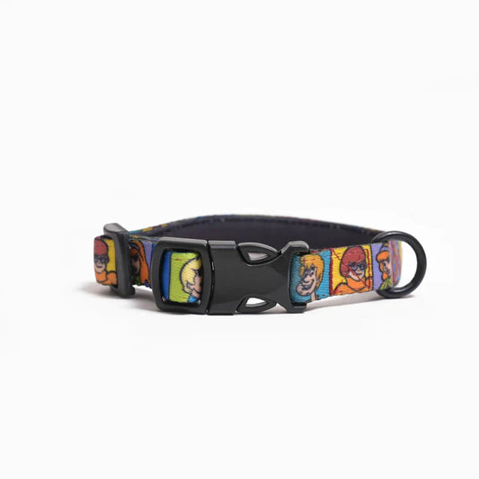 Mutt of Course Scooby Doo Gang Collar For Dogs