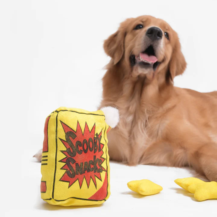 Mutt of Course Scooby Snackbox Dog Toy