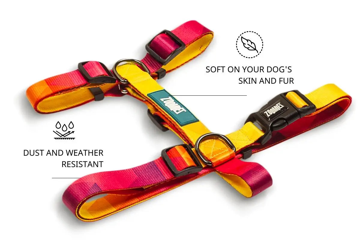 Zoomiez Solar H - Harness For Dog