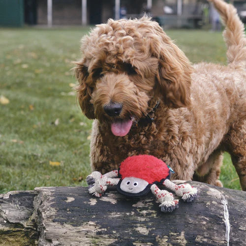 Beco Recycled Rough & Tough Spider Dog Toy