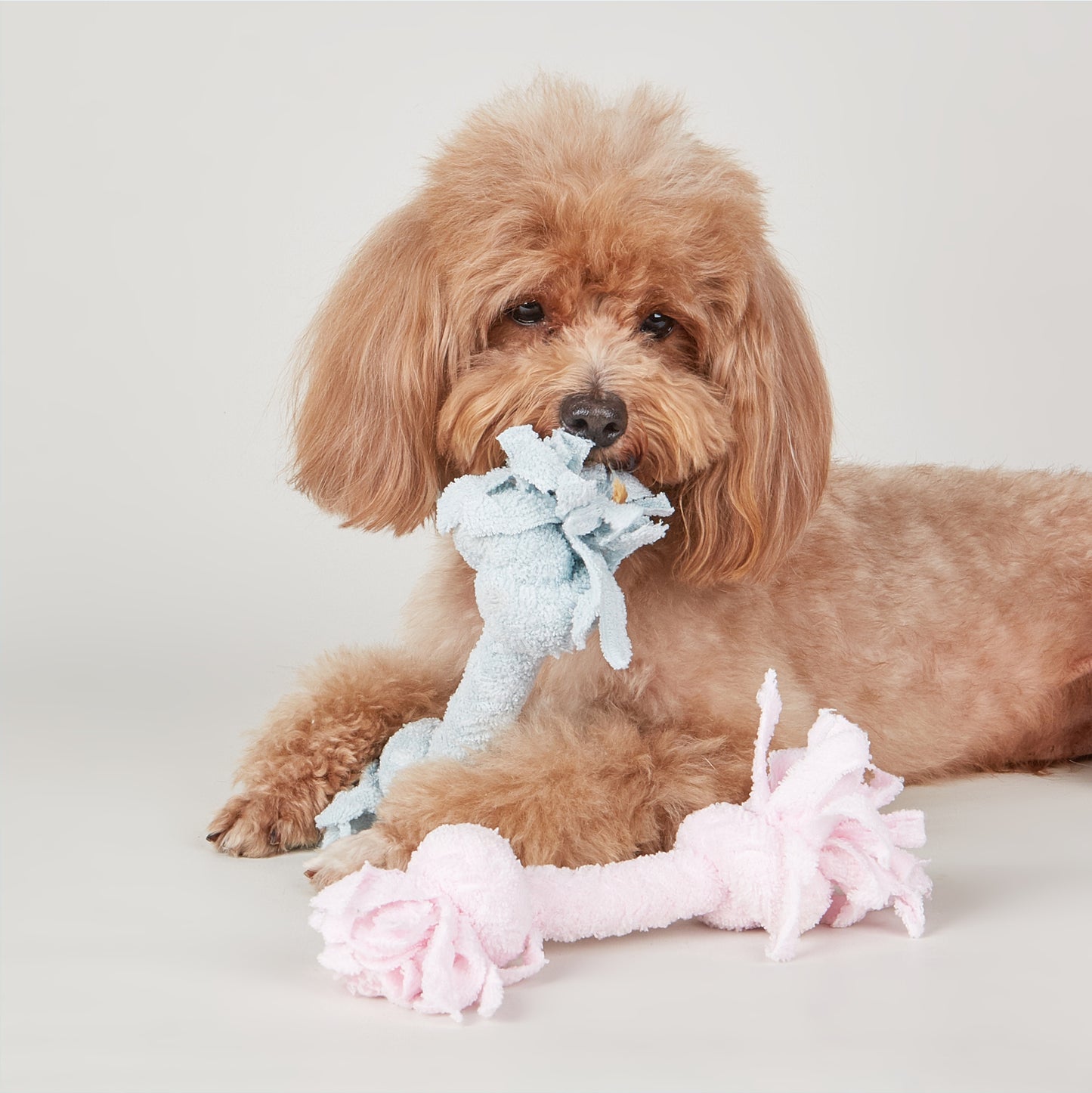 FOFOS Terry Rope 2knots Puppy Dog Toy 6 x 6 x 22 cm
