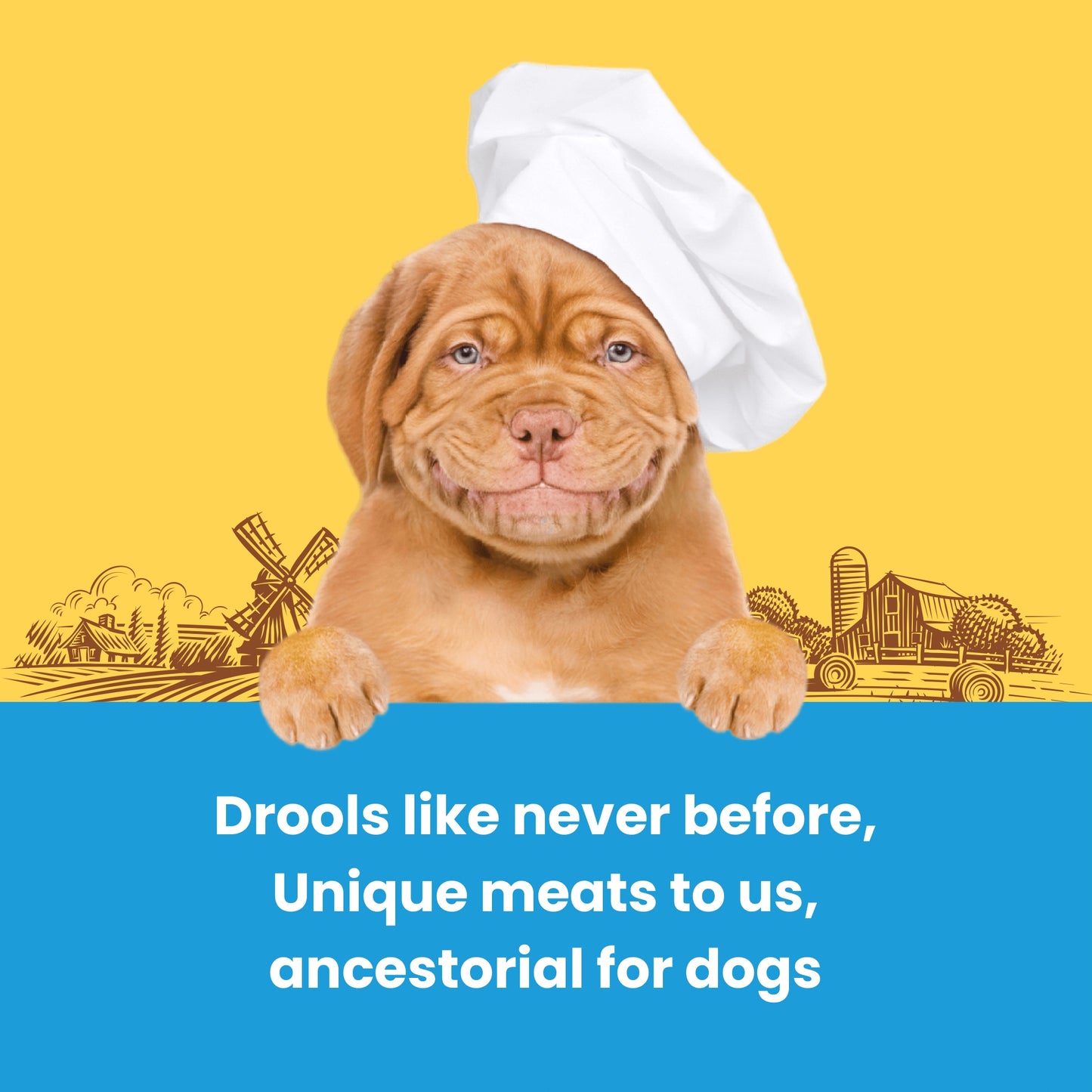 Dogfest Training treats Quail & Chia seeds Dog Treat 90g