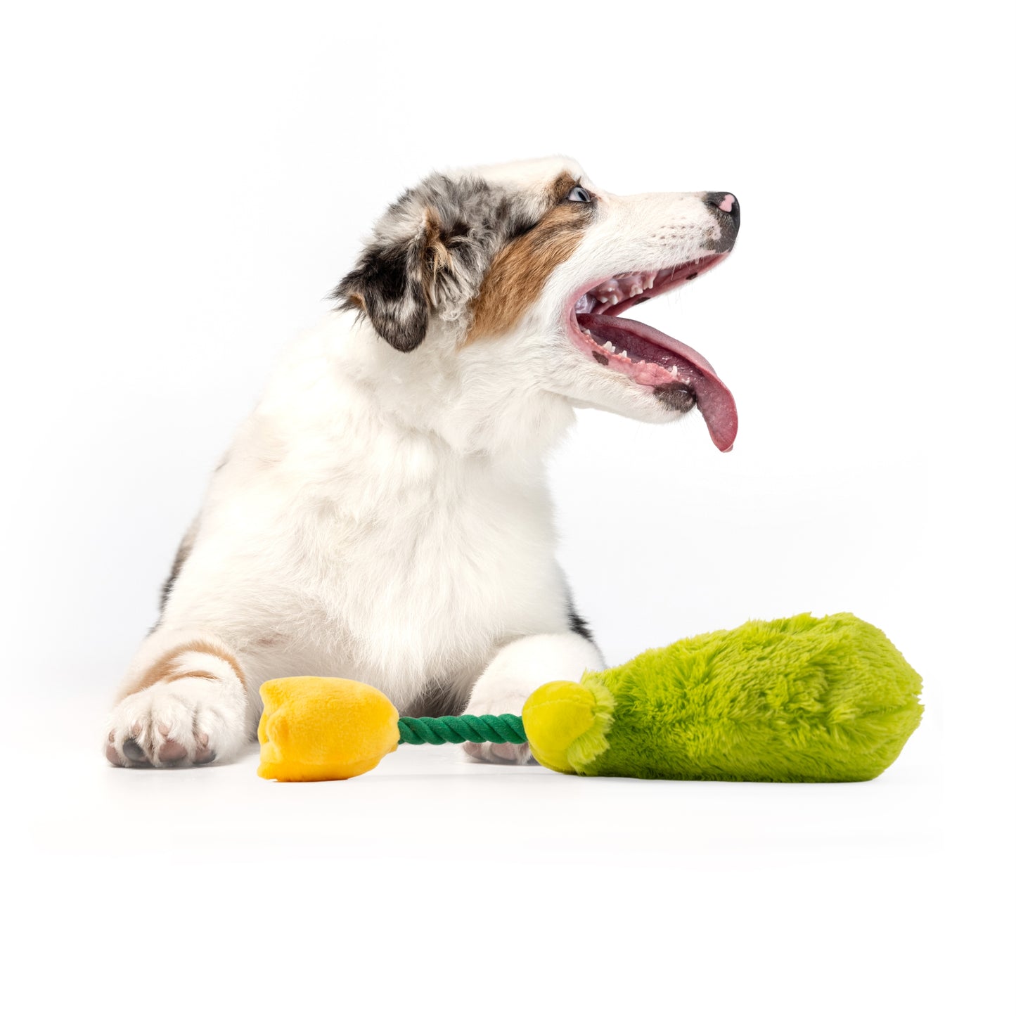 FOFOS Garden Tulip Dog Toy 13 x 10 x 29 cm