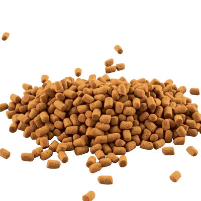 Tetra ReptoMin Energy High-Energy Complementary Feed For Water Turtles 34g