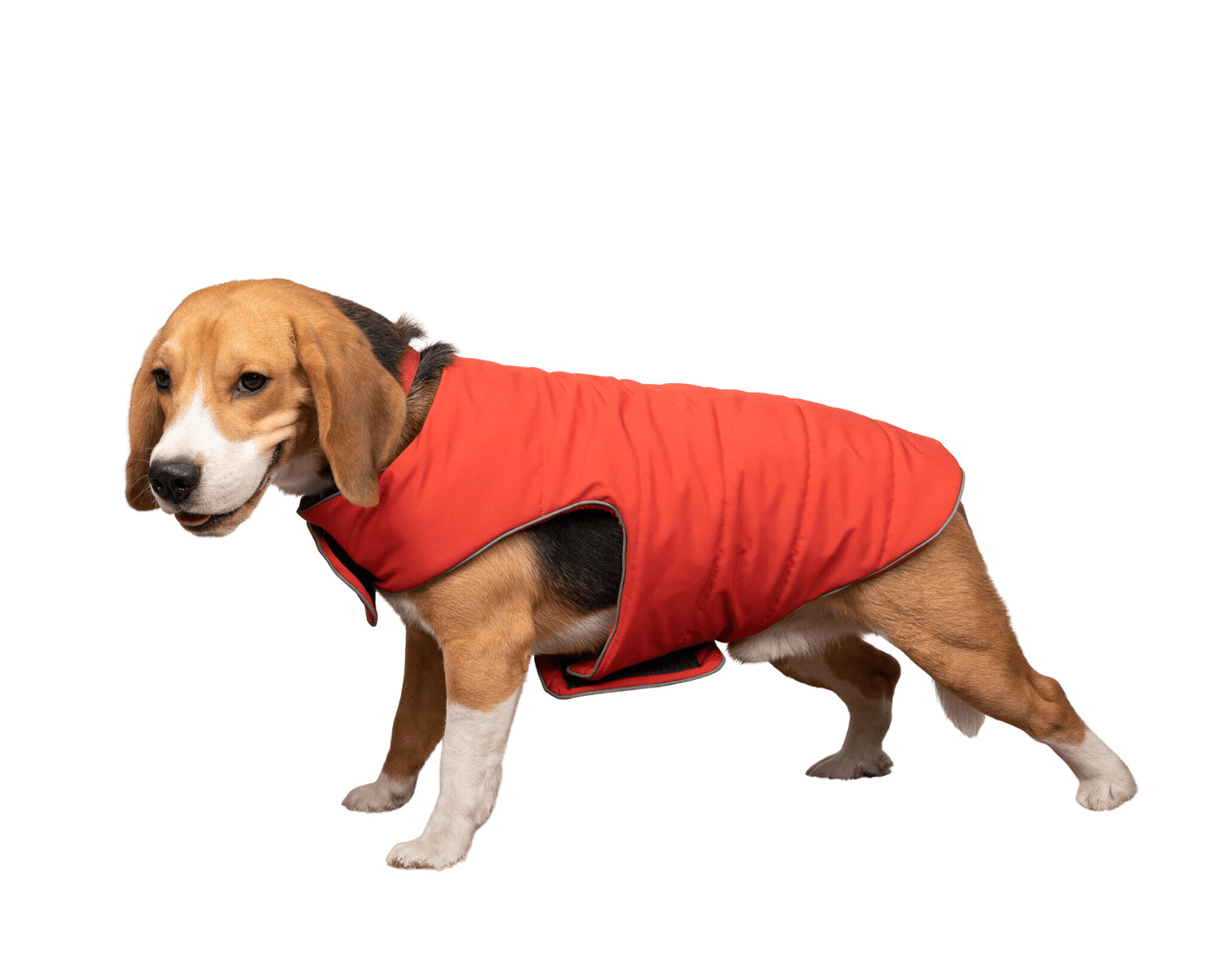 Pet Snugs Water-Resistant Top & Soft Cotton Lining Jacket For Your Furry Friend Rust Red